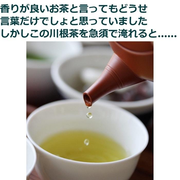 緑茶 茶葉 高級　先着25名限定　まとめ買い　3月20日まで半額！【川根一番茶葉１００％使用　香りが格別の川根茶100ｇ10袋セット】 |  | 01