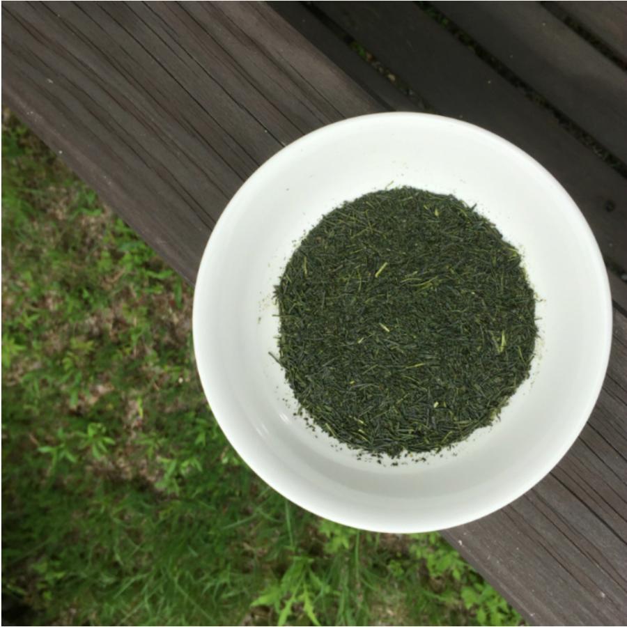 緑茶 茶葉 高級　先着25名限定　まとめ買い　3月20日まで半額！【川根一番茶葉１００％使用　香りが格別の川根茶100ｇ10袋セット】 |  | 09