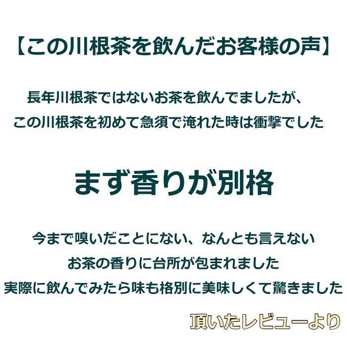 緑茶 茶葉 高級　先着25名限定　まとめ買い　3月20日まで半額！【川根一番茶葉１００％使用　香りが格別の川根茶100ｇ10袋セット】 |  | 02