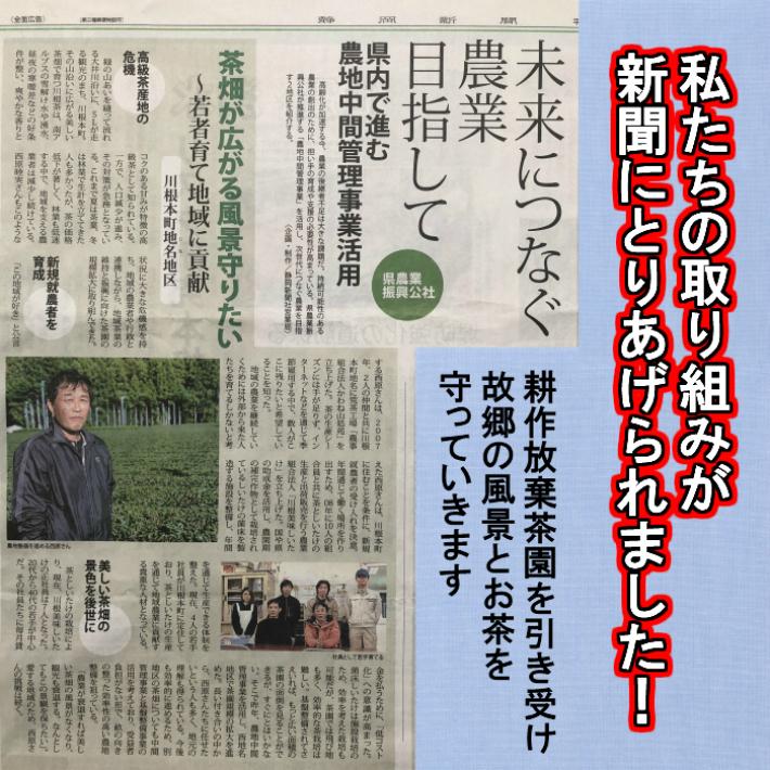 緑茶 茶葉 お茶 高級　香り【川根一番茶葉１００％使用　香りが格別の川根茶100ｇ2袋セット】 |  | 13