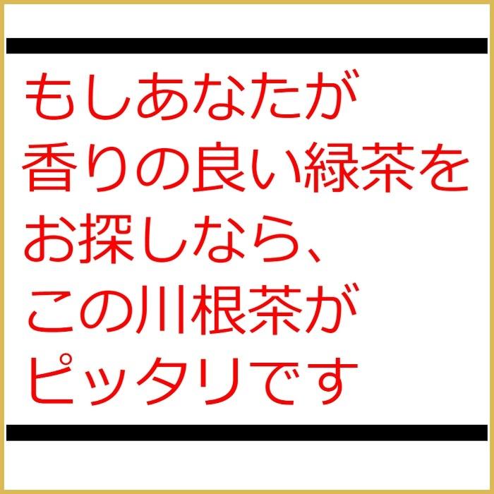緑茶 茶葉 お茶 高級　香り【川根一番茶葉１００％使用　香りが格別の川根茶100ｇ】 |  | 03