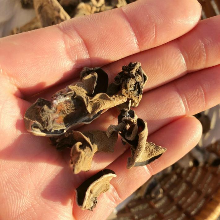 キクラゲ 国産　乾燥 【無選別】キクラゲ160ｇ 80g×2　 |  | 01