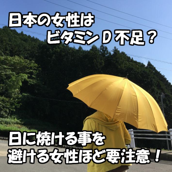 キクラゲ 国産　乾燥 【無選別】キクラゲ160ｇ 80g×2　 |  | 04