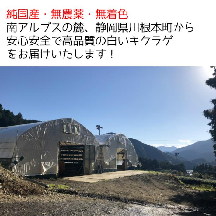 純国産川根産訳あり天日干し乾燥白いキクラゲ200ｇ |  | 02