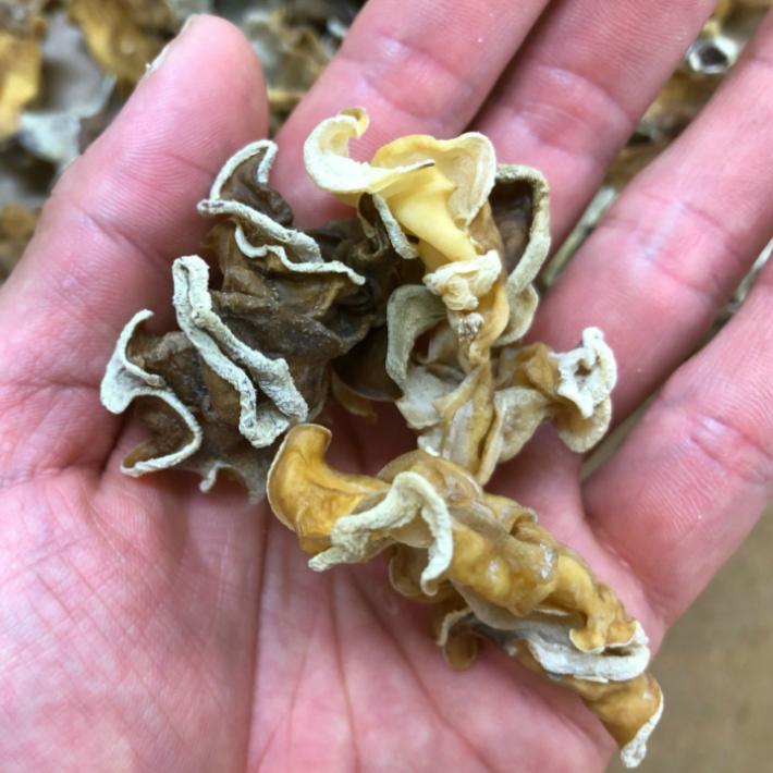 純国産川根産訳あり天日干し乾燥白いキクラゲ200ｇ |  | 05