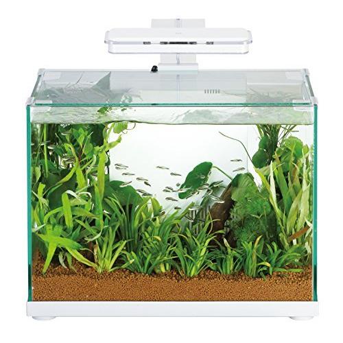 寿工芸 アクスト スタンダード40 Thestartuplab In