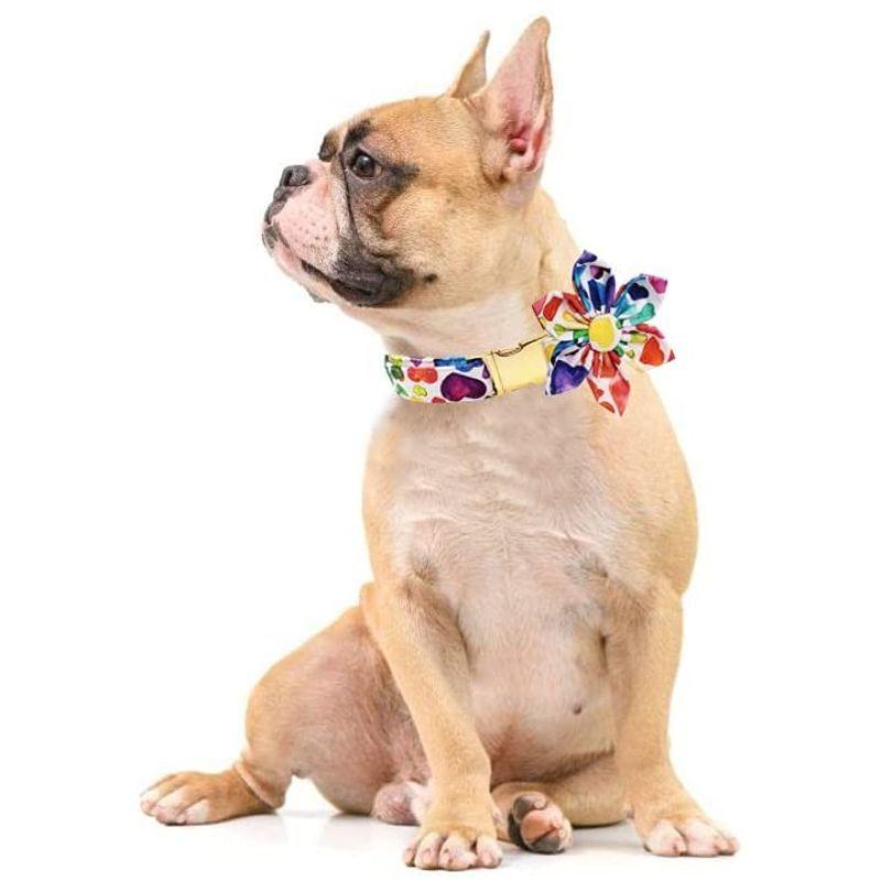 Lionet Paws Dog Collar with Flower, Soft and Comfortable, Adjustable C｜toshizou-netstyle｜03