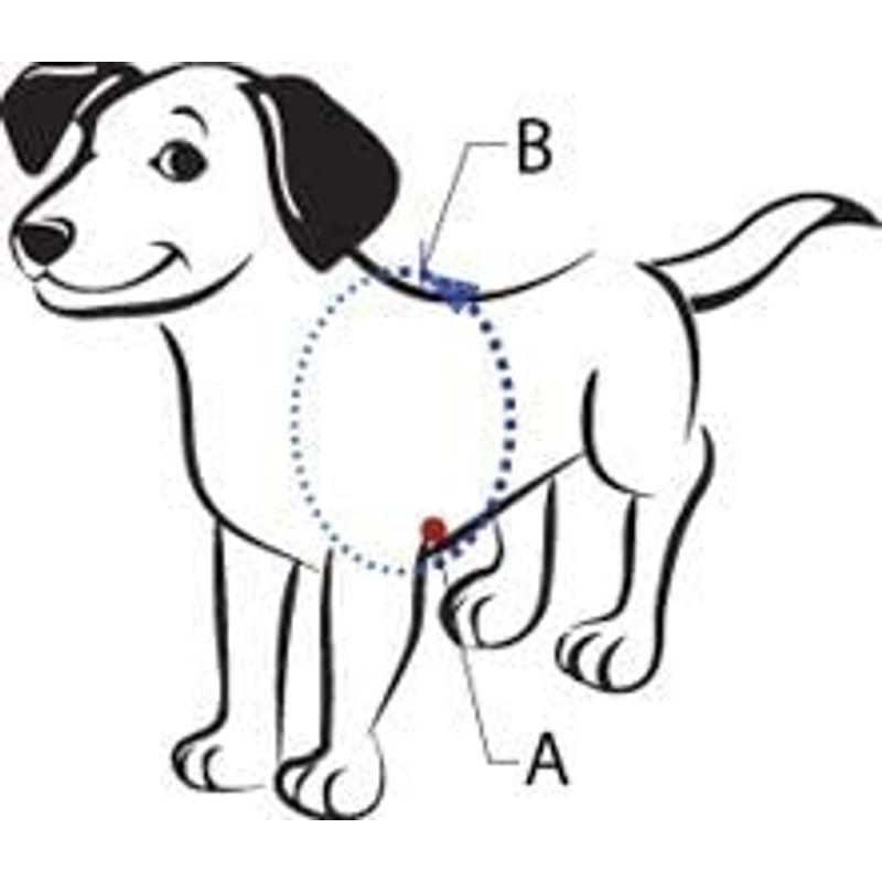 The Original Sense-ation No-Pull Dog Training Harness (Blue, Medium-La｜toshizou-netstyle｜02