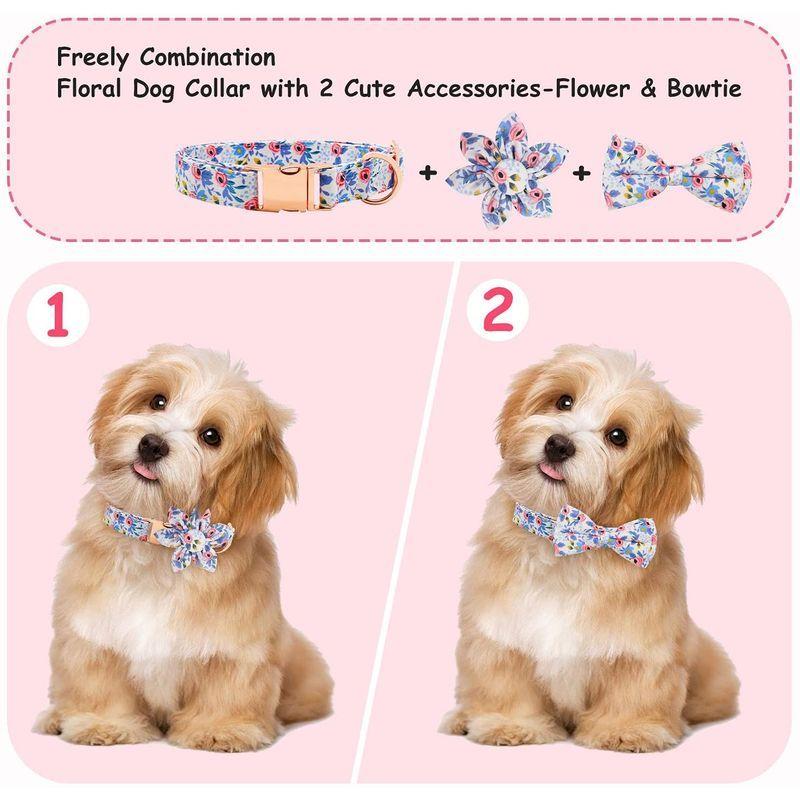 Cute Dog Collar Girl Female Dog Collar for Medium Dogs Puppy Collar Fl その他犬の服
