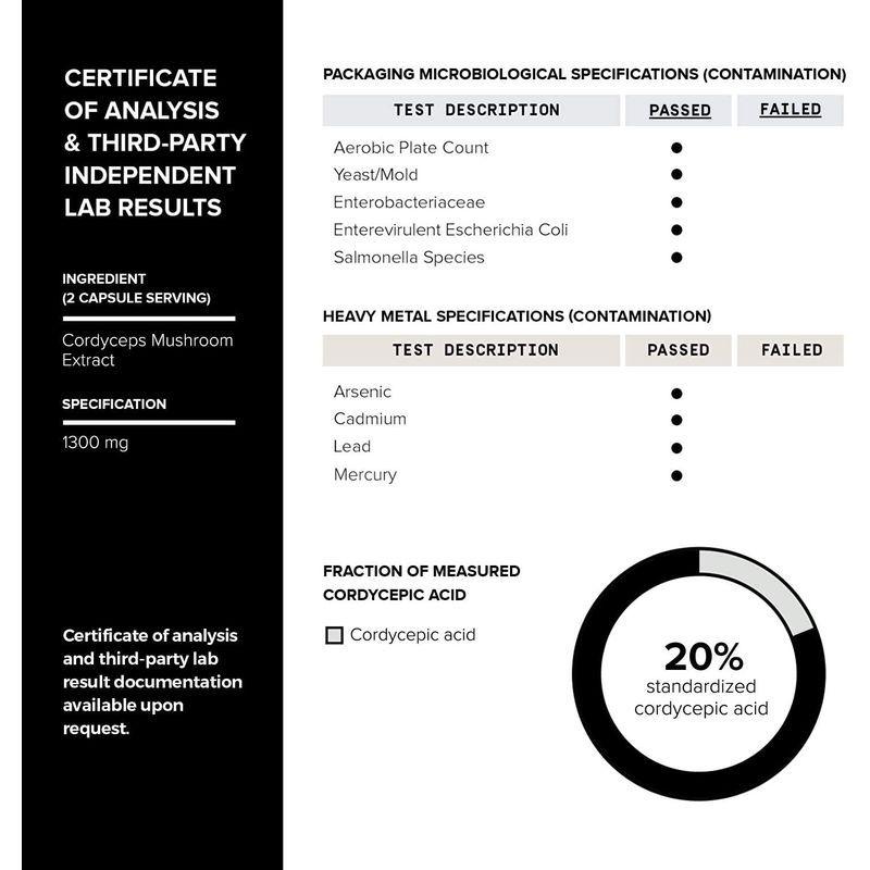 For Dressel Lanterns And Globe Railroad Tall 即決 海外 Retainer Spring Www Alvenius Ind Br