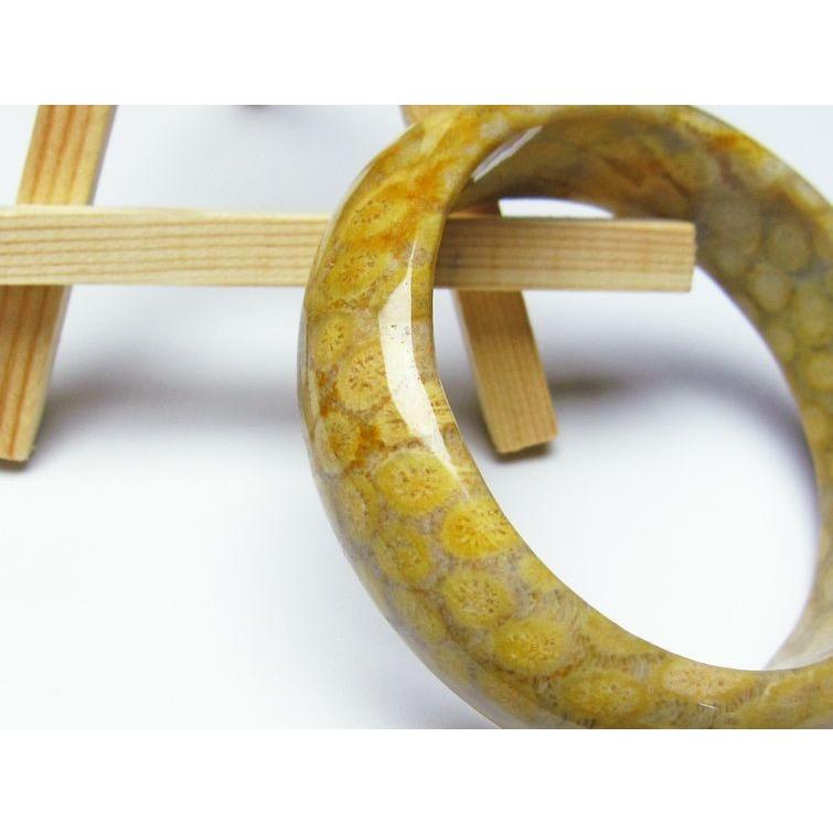 珊瑚 フォッシルコーラル バングル 送料無料 一点物 111-1379 : 天然石