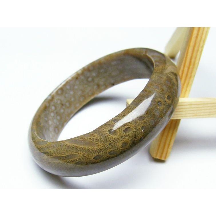 珊瑚 フォッシルコーラル バングル 送料無料 一点物 111-1390 : 天然石