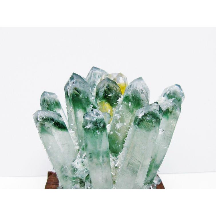 天然【水晶】原石・木台 緑水晶 クラスター 原石 台座付属 一点物 182-7379 : 天然石