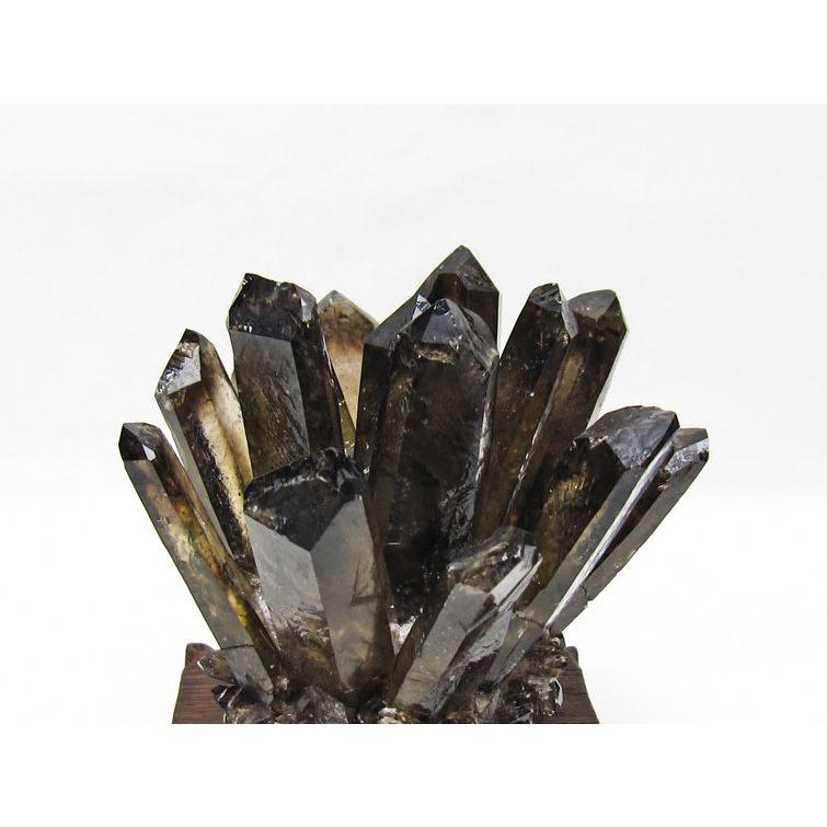 モリオン クラスター 黒水晶 原石 台座付属 一点物 送料無料 182-8689