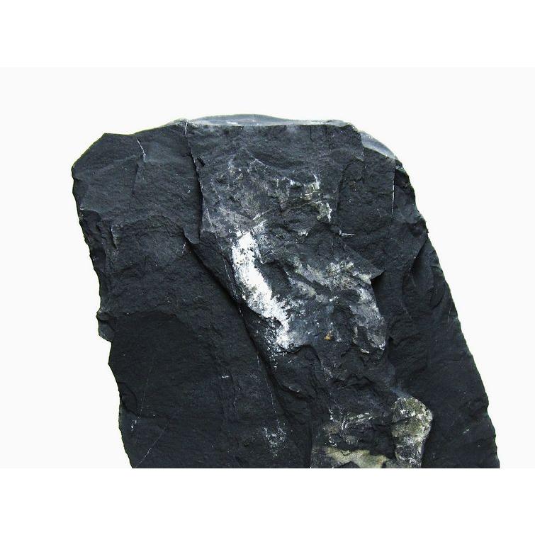 3Kg ブラックシリカ 原石 一点物 送料無料 191-464