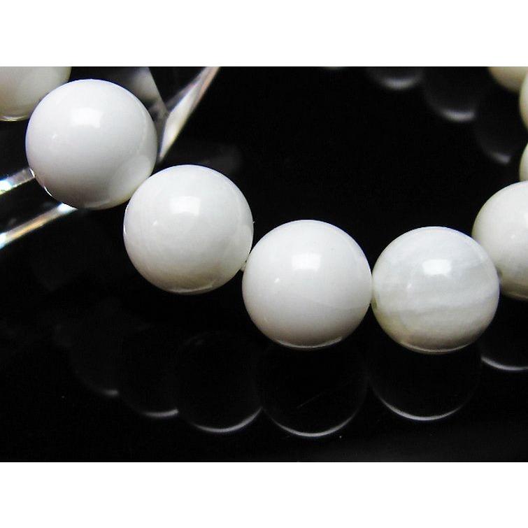 シャコガイ ブレスレット 10mm ランダム発送 メール便送料無料 [M便 1