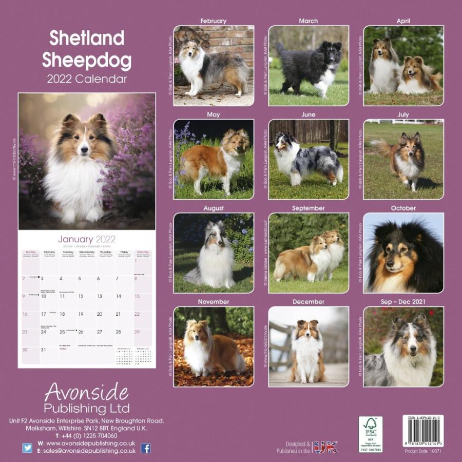 22ドッグカレンダー 23 シェットランドシープドッグ 英国製 223 Online Shop 藤信堂 通販 Yahoo ショッピング