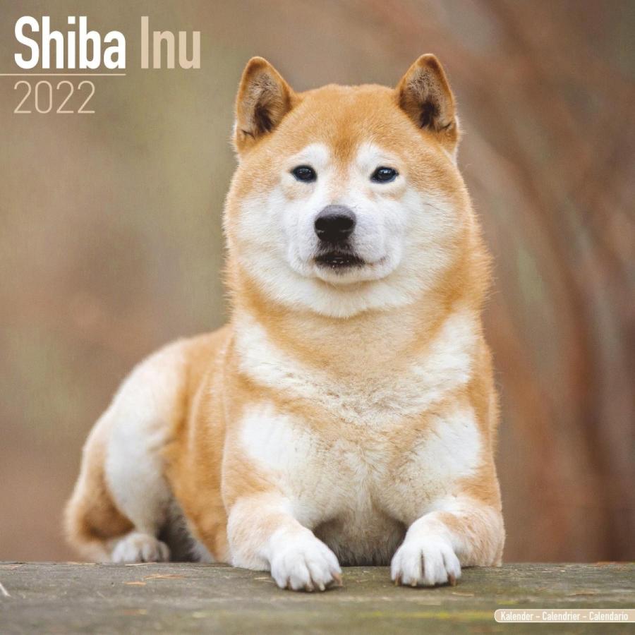 22ドッグカレンダー 24 柴犬 英国製 224 Online Shop 藤信堂 通販 Yahoo ショッピング