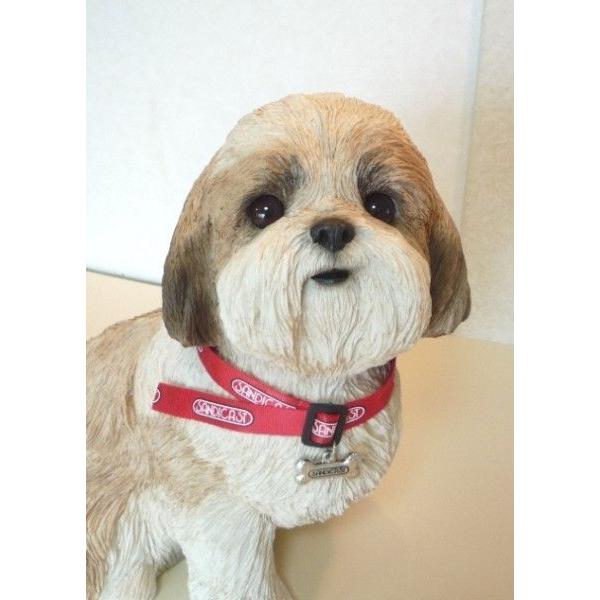 サンディキャストLS124/シーズー・ゴールド/ホワイト(Lサイズ