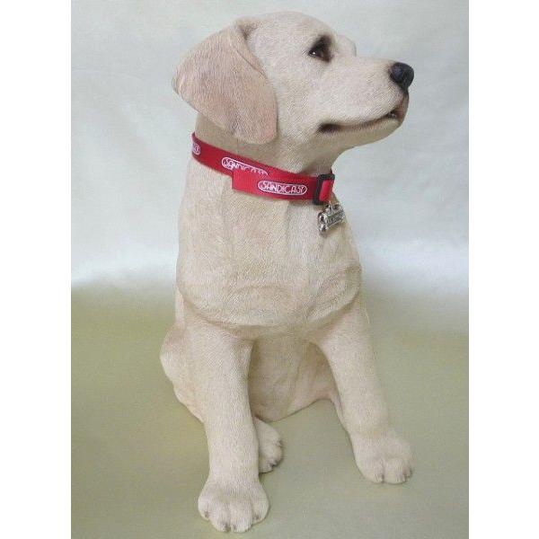 サンディキャストLS345/ラブラドールレトリバー/イエロー・子犬（L