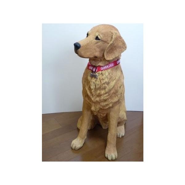 サンディキャストLS900/ゴールデンレトリバー（LLサイズ