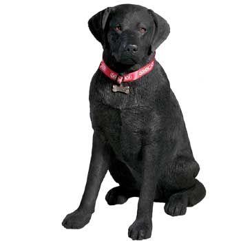 Labrador Retriever（ラブラドールリトリーバー） サンディキャスト