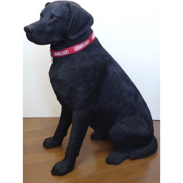 Labrador Retriever（ラブラドールリトリーバー） サンディキャスト