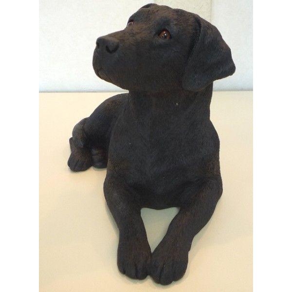 Labrador Retriever（ラブラドールリトリーバー） サンディキャスト