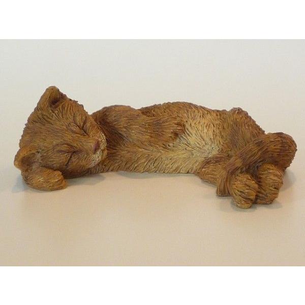 サンディキャストSZ079/子猫/オレンジタビー（Sサイズ） : Online Shop