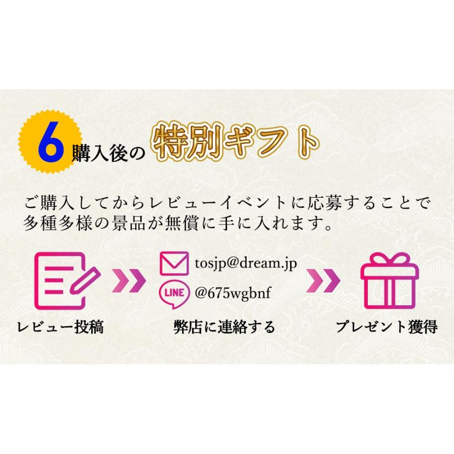 バックモニター バックカメラ モニターセット ワイヤレス マグネット