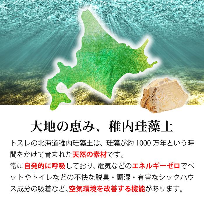 珪藻土バスマット 日本製 珪藻土 バスマット お風呂マット 速乾 sサイズ 小さい けいそうど 足拭き 浴室 洗面所 洗い場 おしゃれ 給水 洗える |  | 03