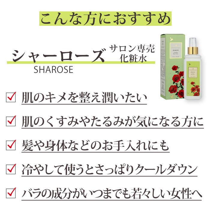 シャナーズ アーユルヴェーダ シャーローズ 化粧水 サロン 美容