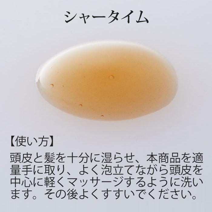 アーユルヴェーダ シャンプー シャータイム 200ml シャナーズ サロン