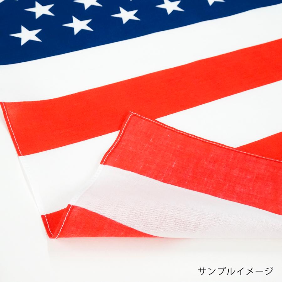 TOSPA バンダナ カザフスタン 国旗柄 綿100％ 52×52cm 日本製 お弁当