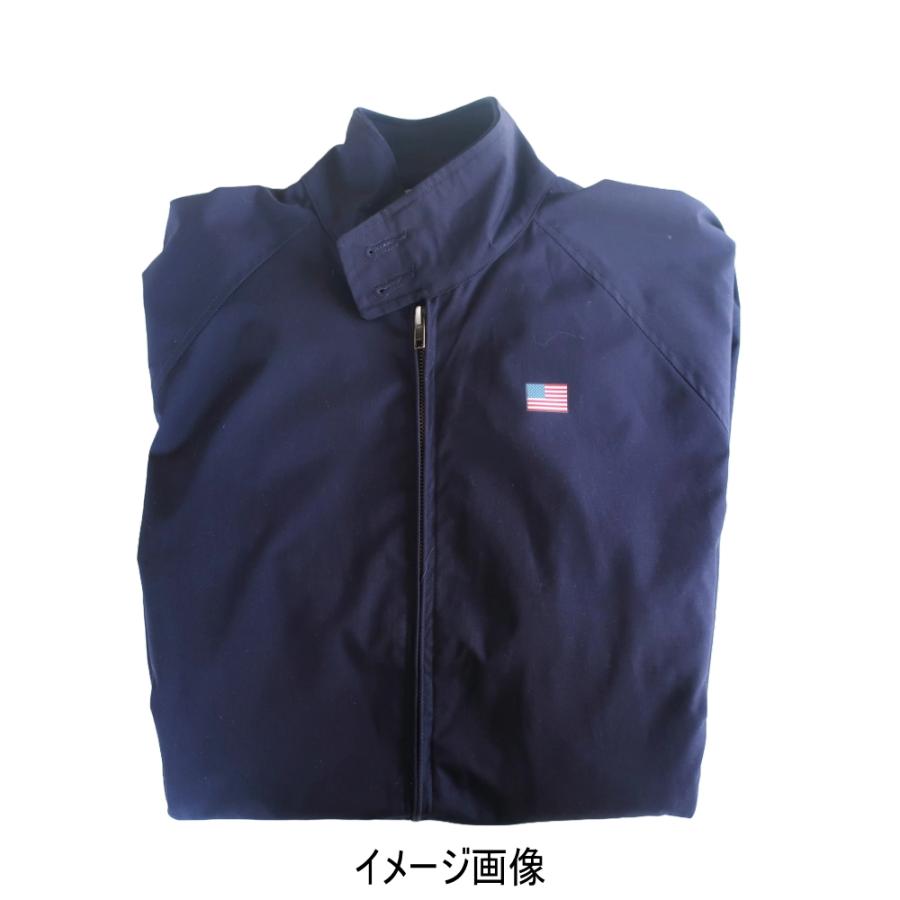 TOSPA アイロンプリントシート 日の丸 日本国旗 : トスパ世界の