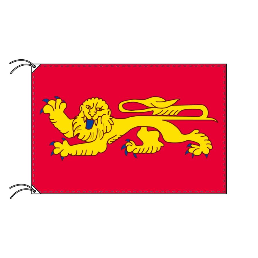 TOSPA フランス地域圏の旗 州旗 アキテーヌ地域圏(90×135cm 高級テトロン 日本製）