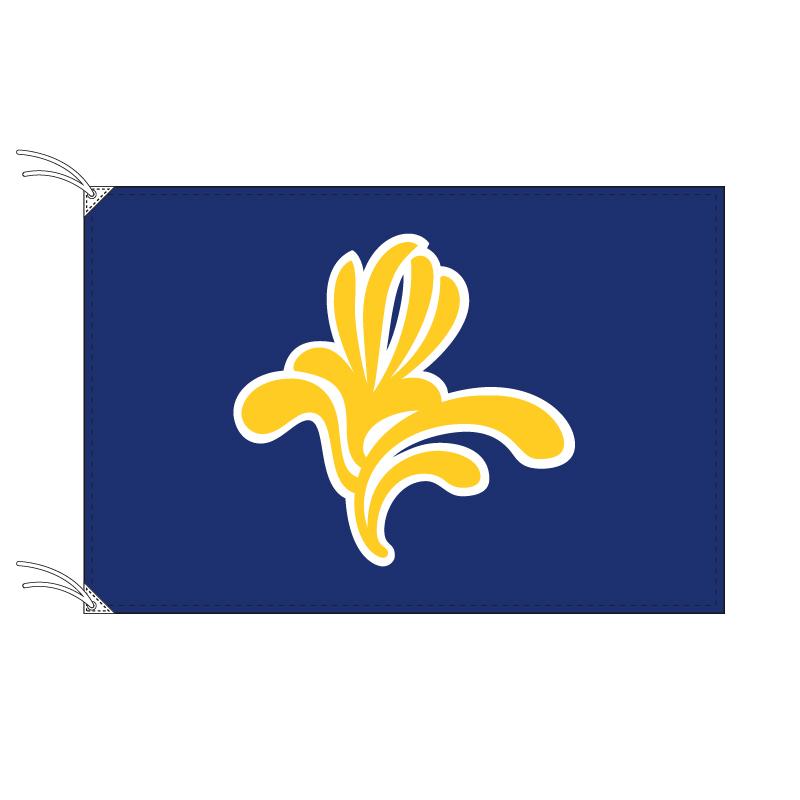 爆売りセール開催中 90 135cm ベルギーの地方の旗 ブリュッセル首都圏地域旗 テトロン製 世界各国の州旗シリーズ 日本製 万国旗 Www Buccella Com