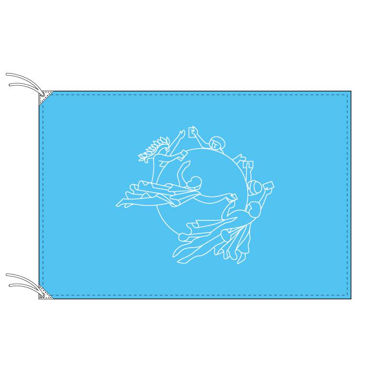 TOSPA UPU 万国郵便連合 旗 100×150cm テトロン製 日本製 世界の旧国旗 世界の組織旗シリーズ