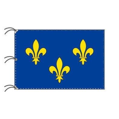 TOSPA　イル＝ド＝フランス地域圏　フランス地域圏の旗　州旗（140×210cm　高級テトロン　日本製）