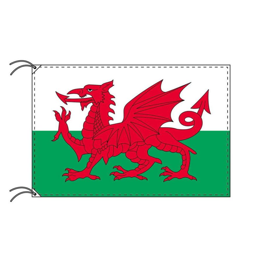TOSPA ウェールズ 国旗 120×180cm テトロン製 日本製 世界の国旗シリーズ