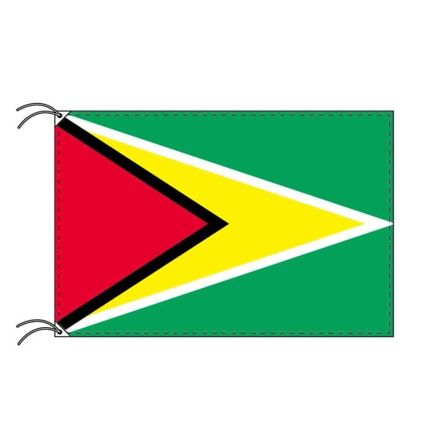 TOSPA ガイアナ 国旗 120×180cm テトロン製 日本製 世界の国旗シリーズ