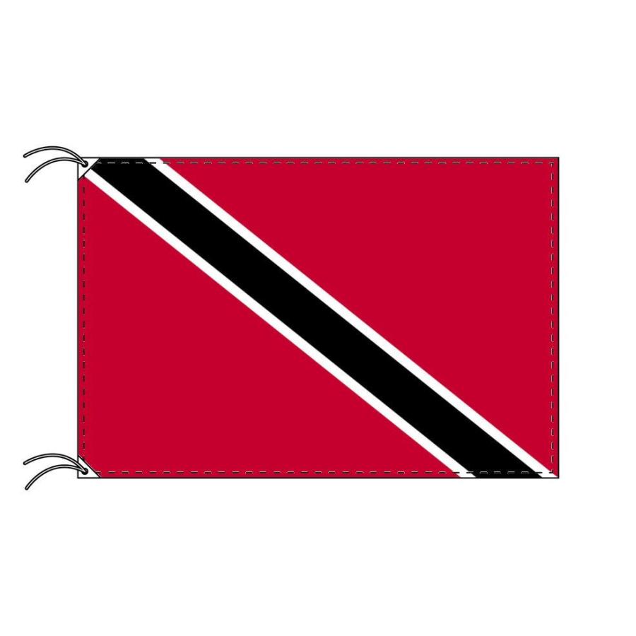 Passport 国旗ロンT 61i14JKFSSL._AC_SY350_QL65_.jpg
