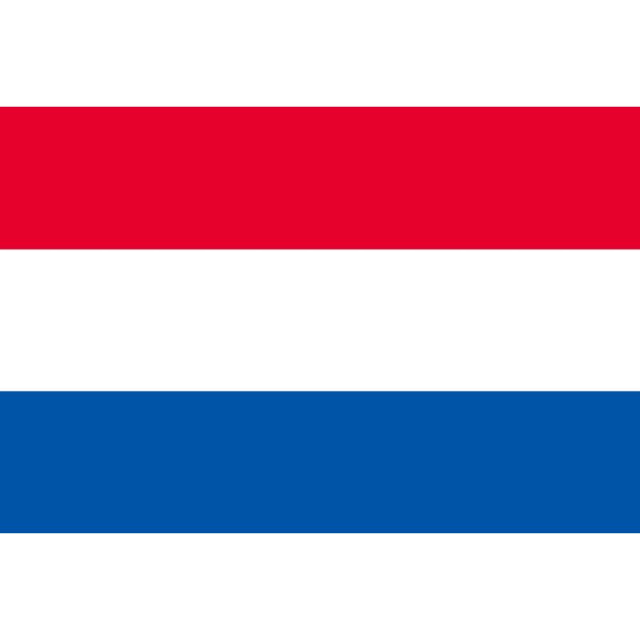 訳あり】 オランダ 国旗 Aサイズ 34×50cm 木綿製 :49210-184:トスパ 