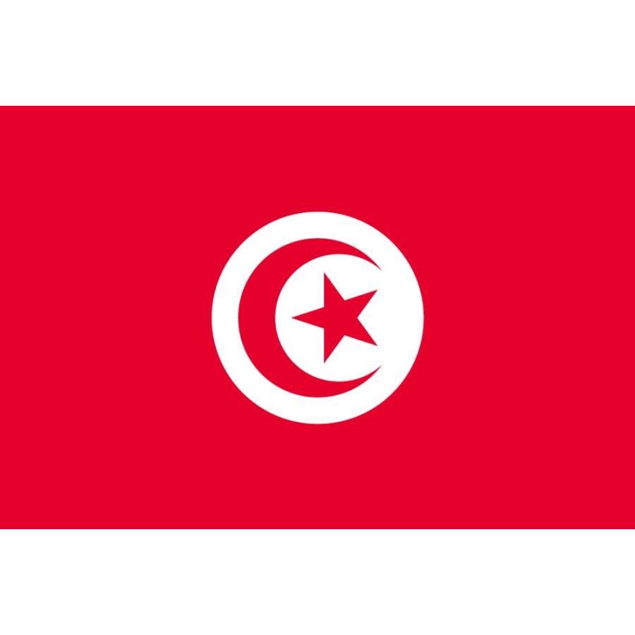 【レンタル　国旗セット3泊4日】　チュニジア国旗セット（90×135ｃｍ・ポール・スタンド付き）｜tospashop