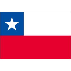レンタル 国旗セット3泊4日 チリ国旗セット 90 135ｃｍ ポール スタンド付き Set トスパ世界の国旗販売 Yahoo 店 通販 Yahoo ショッピング