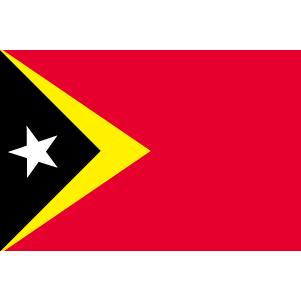 TOSPA 東ティモール国旗セット 高級アルミ合金パーツ付き