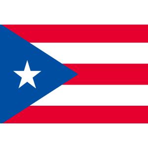 TOSPA プエルトリコ国旗セット 高級アルミ合金パーツ付き