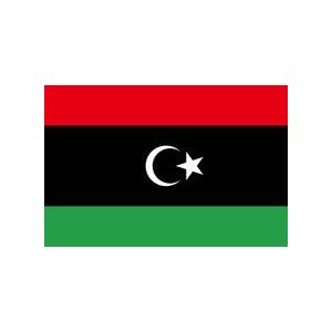 TOSPA  リビア国旗セット 高級アルミ合金パーツ付き