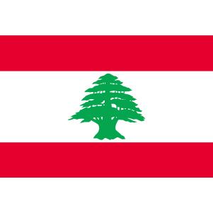 TOSPA　レバノン国旗セット　高級アルミ合金パーツ付き