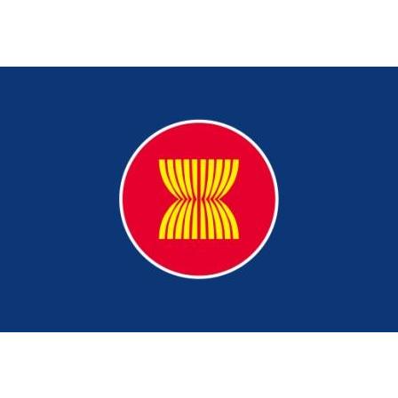 TOSPA 世界の国旗 ＡＳＥＡＮ（アセアン 東南アジア諸国連合）旗セット 高級アルミ合金パーツ付き